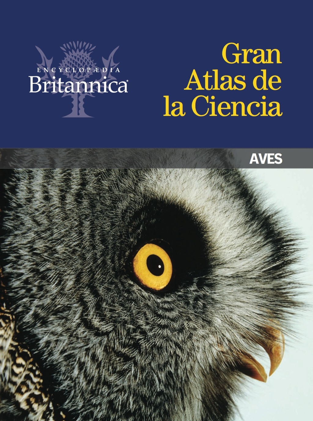 Aves 1st Edition