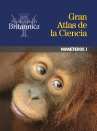 Cover image: Mamíferos I 1st edition 9781625131379