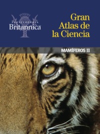 Cover image: Mamíferos II 1st edition 9781625131386