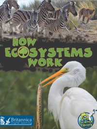 Cover image: How Ecosystems Work 1st edition 9781618100870