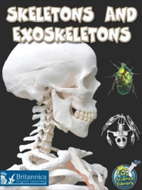 صورة الغلاف: Skeletons and Exoskeletons 1st edition 9781618100887