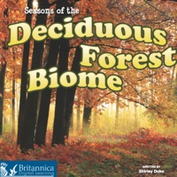 Cover image: Seasons of the Decidous Forest Biome 1st edition 9781621698982