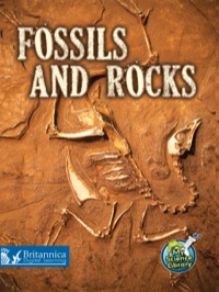 صورة الغلاف: Fossils and Rocks 1st edition 9781618101037