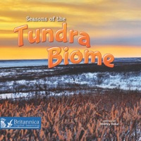 Cover image: Seasons of the Tundra Biome 1st edition 9781621698975