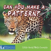 صورة الغلاف: Can You Make a Pattern? 1st edition 9781618100726