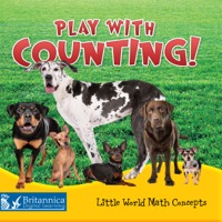 صورة الغلاف: Play with Counting! 1st edition 9781618100733
