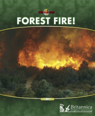 Imagen de portada: Forest Fire! 1st edition
