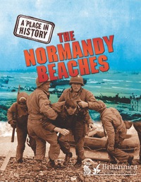 Cover image: The Normandy Beaches 1st edition