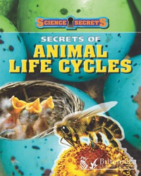 Cover image: Secrets of Animal Life Cycles 1st edition