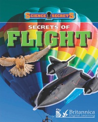 Imagen de portada: Secrets of Flight 1st edition