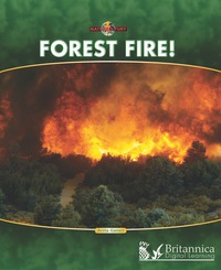 Omslagafbeelding: Forest Fire! 1st edition