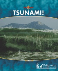 Imagen de portada: Tsunami! 1st edition