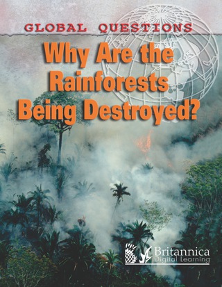 Omslagafbeelding: Why Are the Rain Forests Being Destroyed? 1st edition