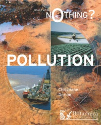 Imagen de portada: Pollution 1st edition