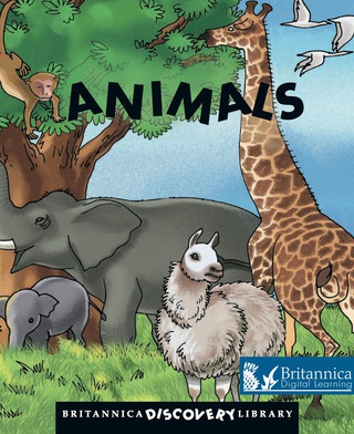 Titelbild: Animals 1st edition