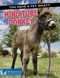 Imagen de portada: Miniature Donkey 1st edition 9781683421788