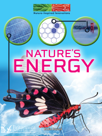 Omslagafbeelding: Nature's Energy 1st edition 9781625136695