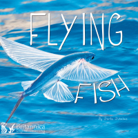 صورة الغلاف: Flying Fish 1st edition 9781625136770