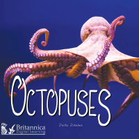 Imagen de portada: Octopuses 1st edition 9781625136787