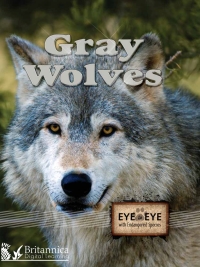 表紙画像: Gray Wolves 2nd edition 9781625137203