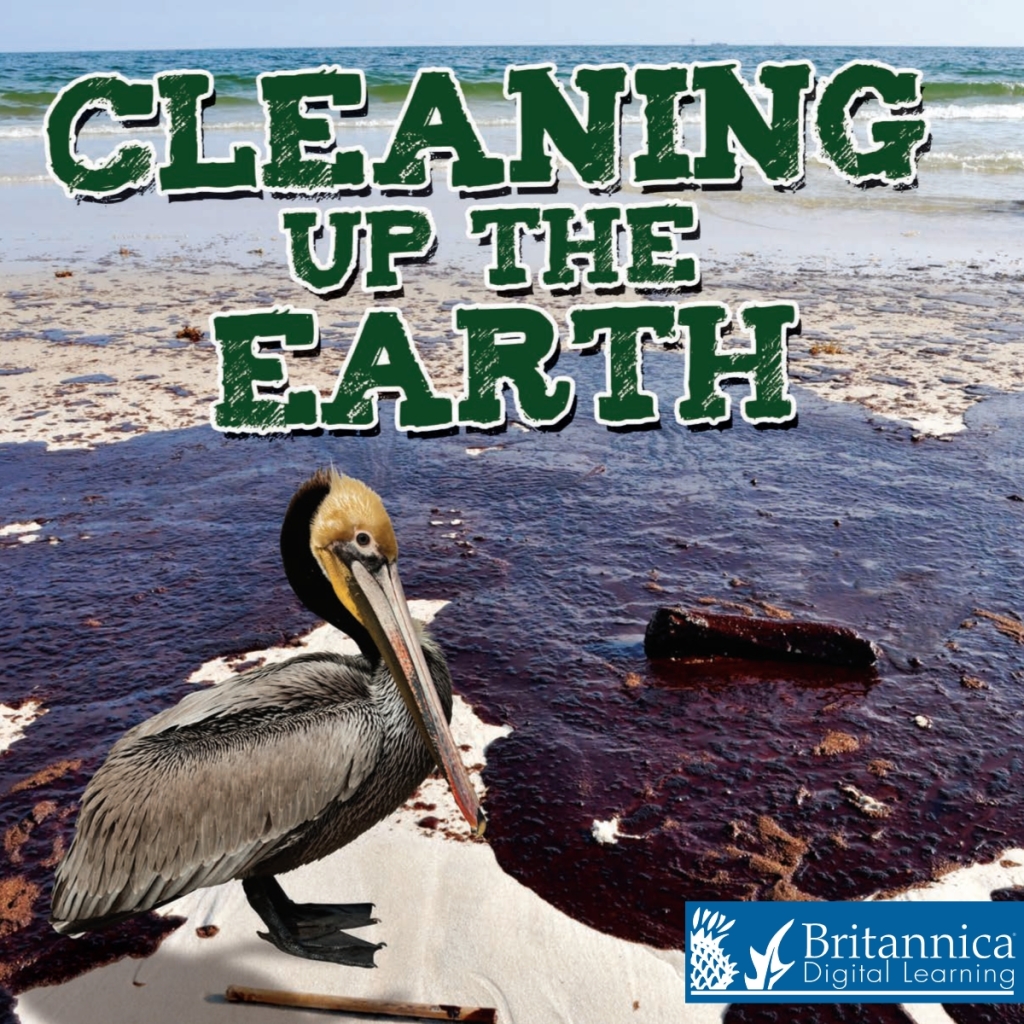 Cleaning Up the Earth 2nd Edition