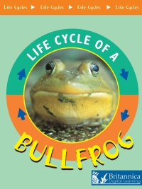 Imagen de portada: Bullfrog 2nd edition 9781625137319