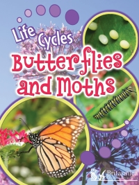 表紙画像: Butterflies and Moths 2nd edition 9781625137326