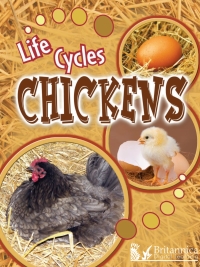 Imagen de portada: Chickens 2nd edition 9781625137333