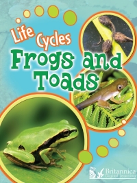 Cover image: Frogs and Toads 2nd edition 9781625137340