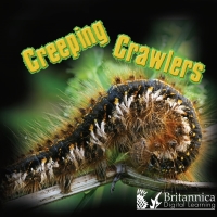 Omslagafbeelding: Creeping Crawlers 2nd edition 9781625137470
