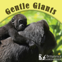 Cover image: Gentle Giants 2nd edition 9781625137487