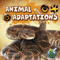 Imagen de portada: Animal Adaptations 2nd edition 9781625137517