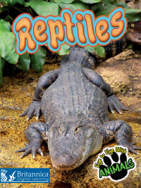Imagen de portada: Reptiles 2nd edition 9781625137777
