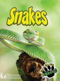 Cover image: Snakes 2nd edition 9781625137784