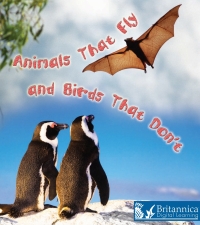 Imagen de portada: Animals That Fly and Birds That Don't 2nd edition 9781625137821