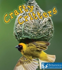 Imagen de portada: Crafty Critters 2nd edition 9781625137845
