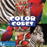 Imagen de portada: Color Codes 2nd edition 9781625137852