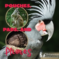 Cover image: Pouches, Pads, and Plumes 2nd edition 9781625137869