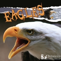 Cover image: Eagles 2nd edition 9781625137913