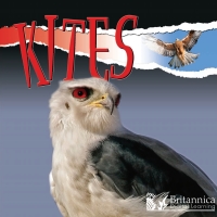 Cover image: Kites 2nd edition 9781625137944