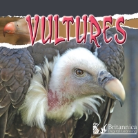 Omslagafbeelding: Vultures 2nd edition 9781625137968