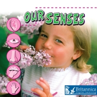 Cover image: Our Senses 2nd edition 9781625138019