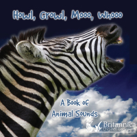 Imagen de portada: Howl, Growl, Mooo, Whooo, A Book of Animals Sounds 2nd edition 9781625138057