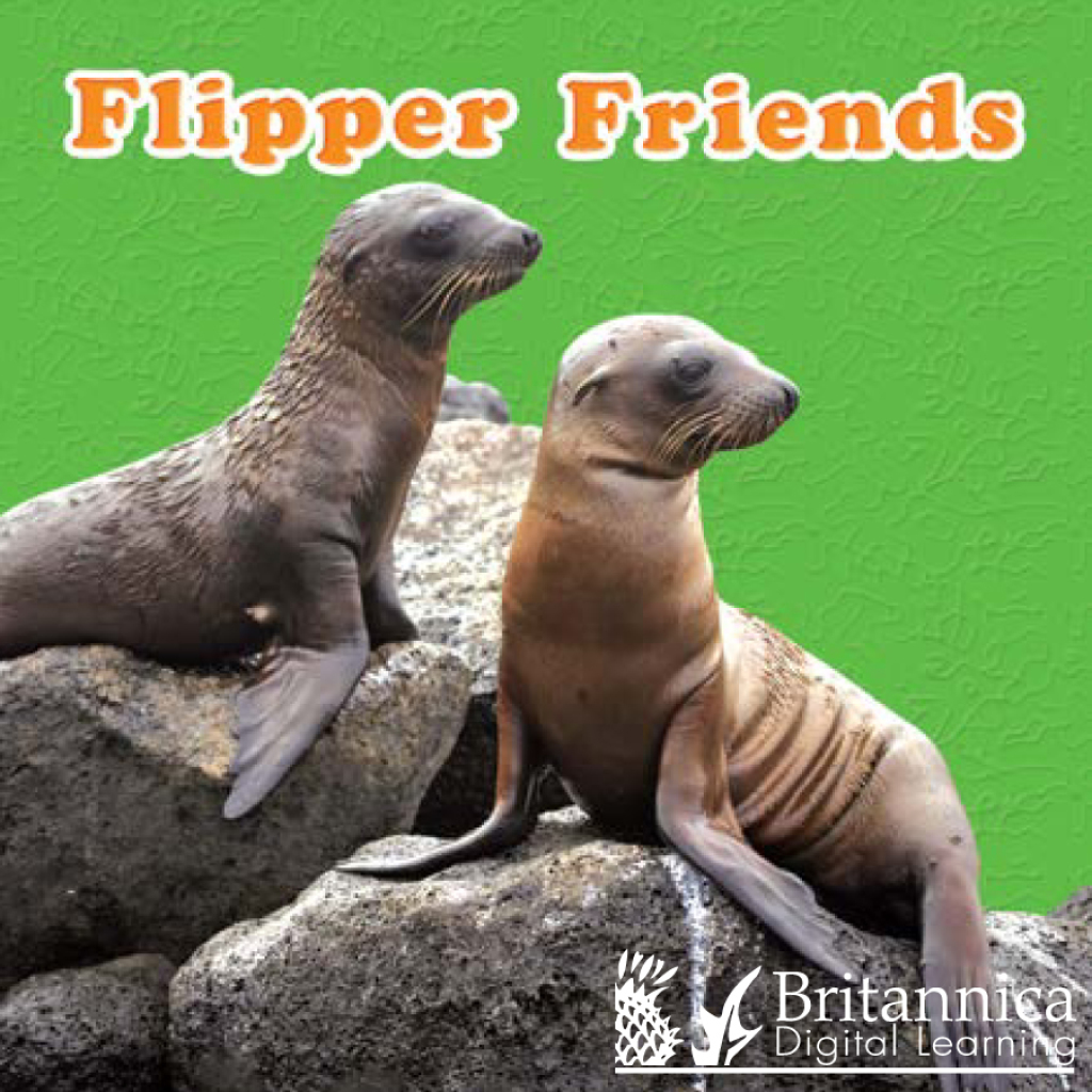 Flipper Friends 1st Edition