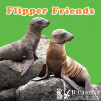 表紙画像: Flipper Friends 1st edition 9781625138187