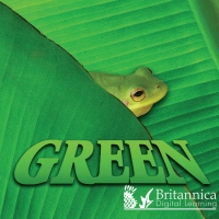 Cover image: Green 1st edition 9781625138194
