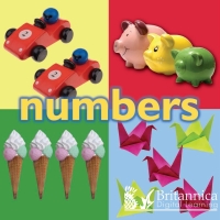 Cover image: Numbers 1st edition 9781625138224
