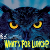 Imagen de portada: What's for Lunch? 1st edition 9781625138262