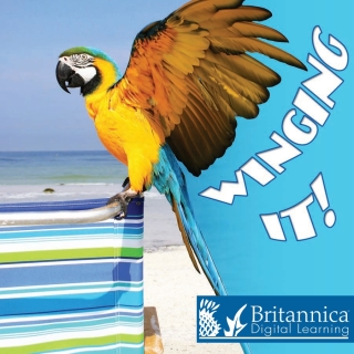 Cover image: Winging It! 1st edition 9781625138279