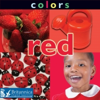 Imagen de portada: Colors: Red 1st edition 9781625138316